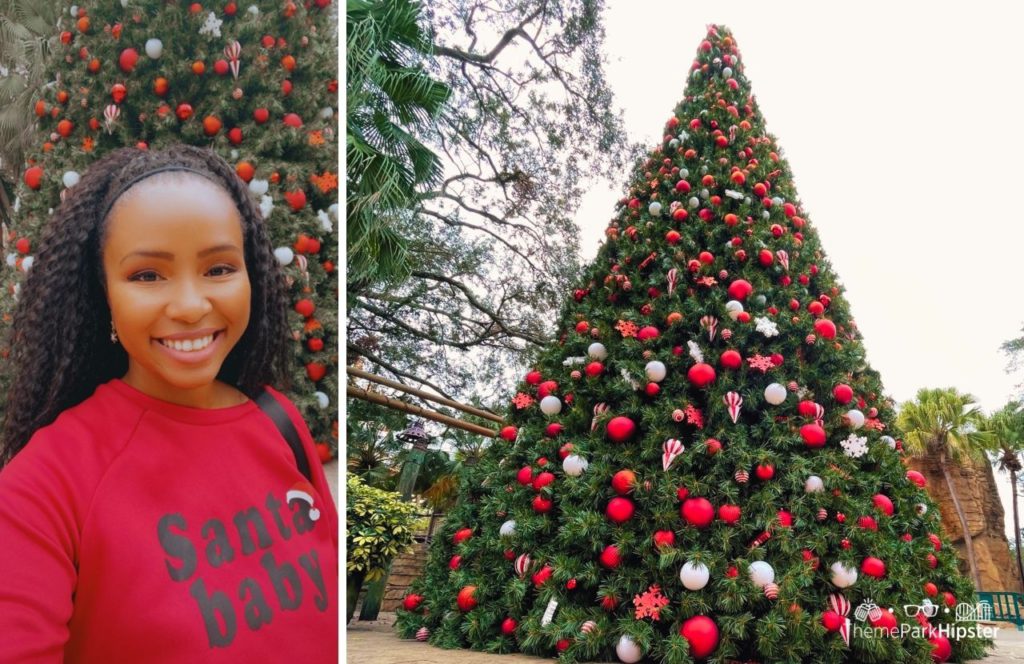 Busch Gardens Tampa Bay Christmas Town NikkyJ and holiday tree 